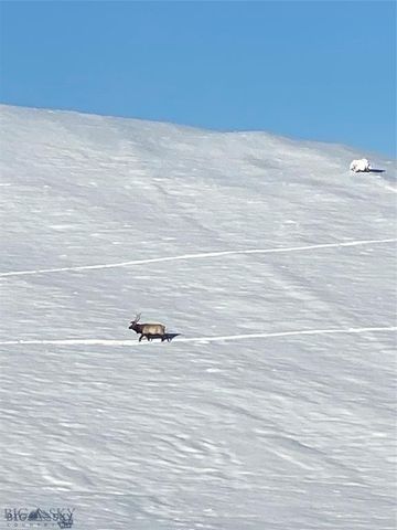 86 Pony Lane, Livingston, MT 59047