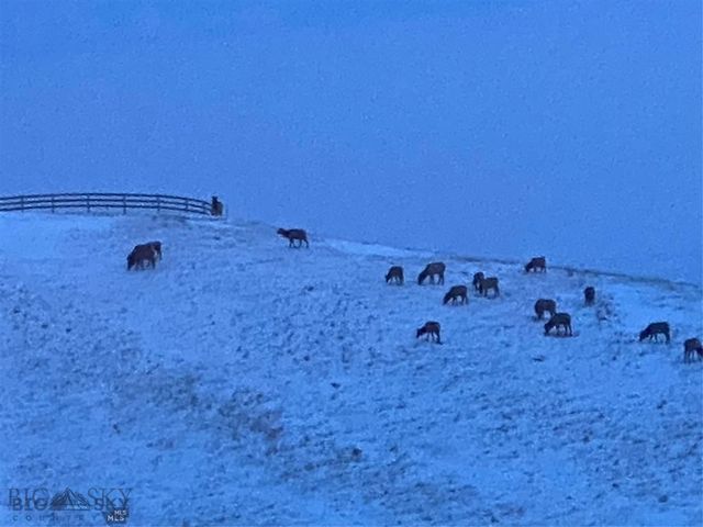 86 Pony Lane, Livingston, MT 59047