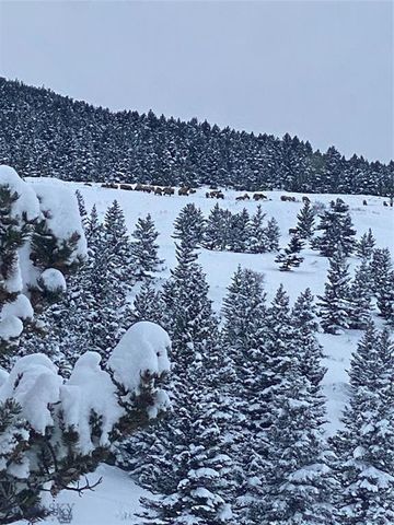 86 Pony Lane, Livingston, MT 59047