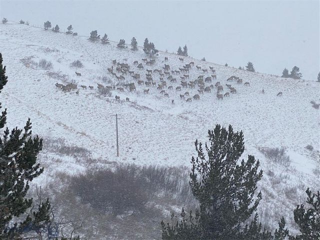 86 Pony Lane, Livingston, MT 59047