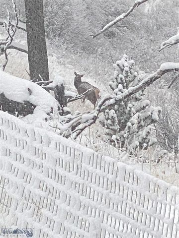 86 Pony Lane, Livingston, MT 59047