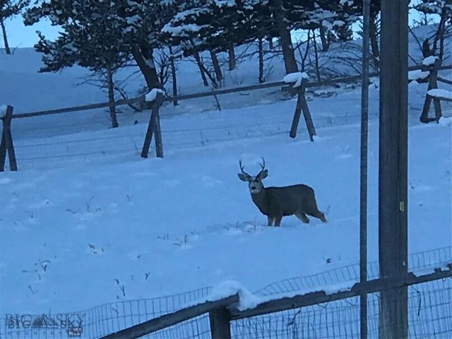 86 Pony Lane, Livingston, MT 59047