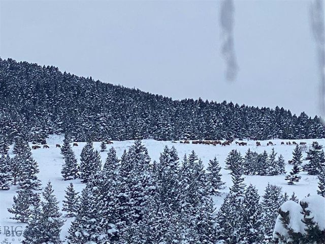 86 Pony Lane, Livingston, MT 59047