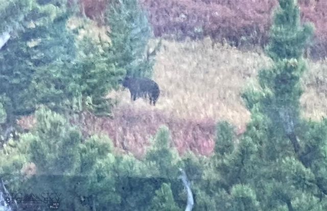 86 Pony Lane, Livingston, MT 59047