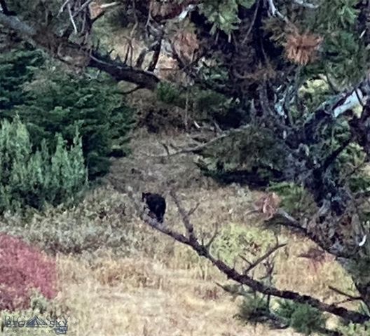 86 Pony Lane, Livingston, MT 59047