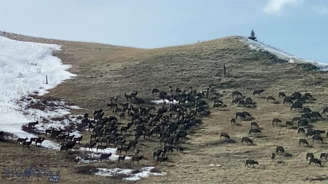 86 Pony Lane, Livingston, MT 59047