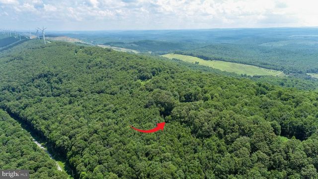 LOT 7 BACKBONE RIDGE RD, Oakland, MD 21550