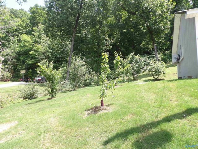 2760 Signal Point Road, Guntersville, AL 35976