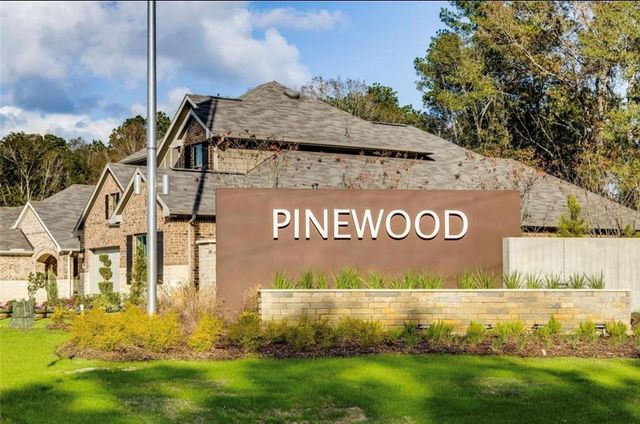 22445 Mountain Pine Drive, New Caney, TX 77357
