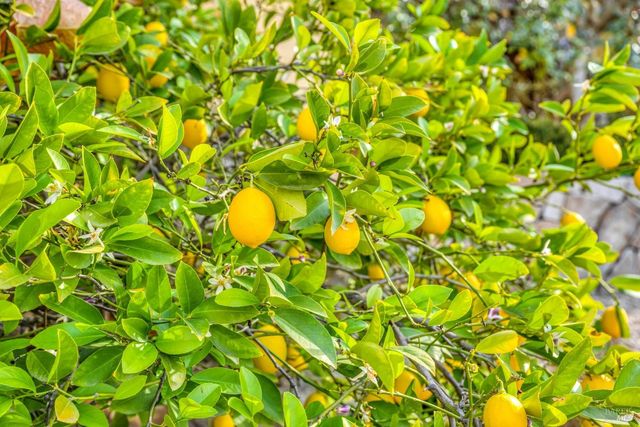 2395 Pickett Rd, Calistoga, CA 94515