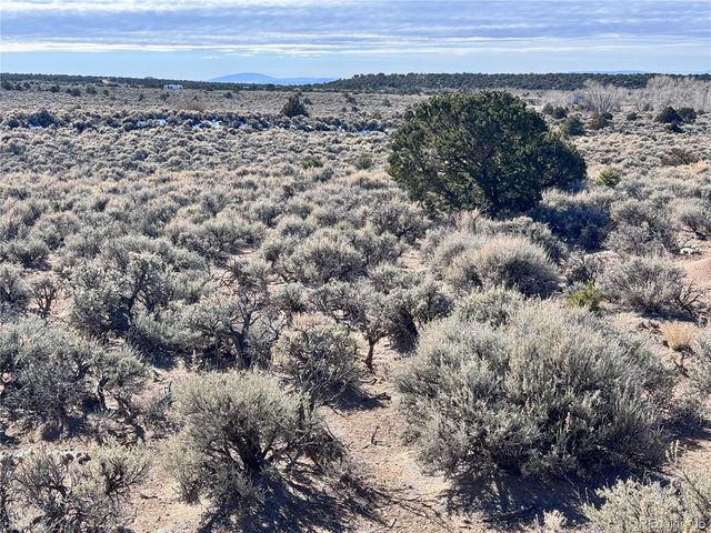 lot 663 Slegers Road, Fort Garland, CO 81133