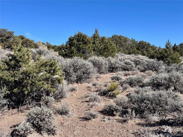 lot 663 Slegers Road, Fort Garland, CO 81133