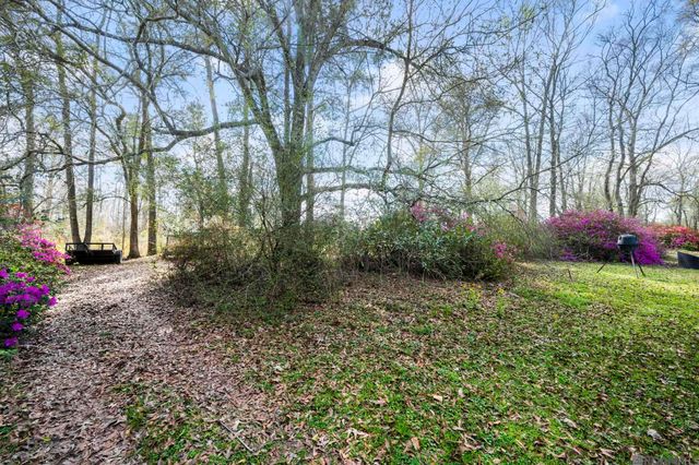 8214 Belle Helene Dr, Denham Springs, LA 70726