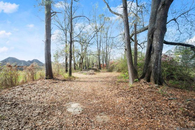 8214 Belle Helene Dr, Denham Springs, LA 70726