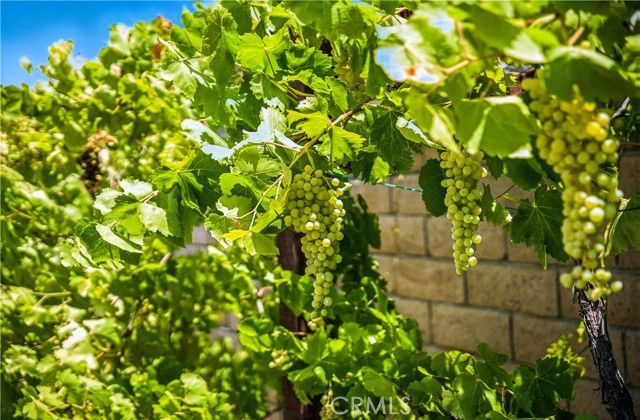 35416 Oakstone Creek Court, Winchester, CA 92596