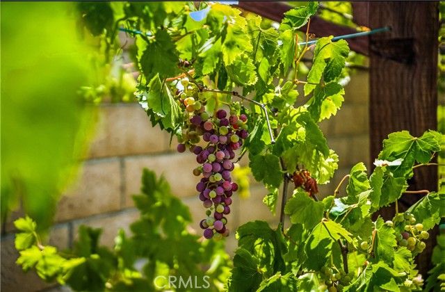 35416 Oakstone Creek Court, Winchester, CA 92596