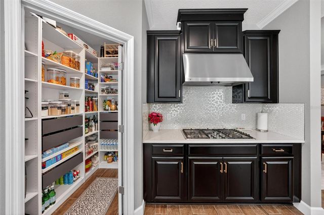 1235 WATERVIEW RIDGE CIRCLE, Apopka, FL 32703