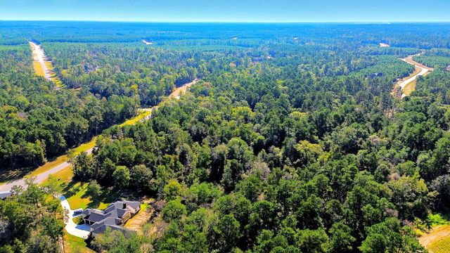 11518 Bramble Court, Willis, TX 77378