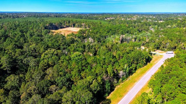 11518 Bramble Court, Willis, TX 77378