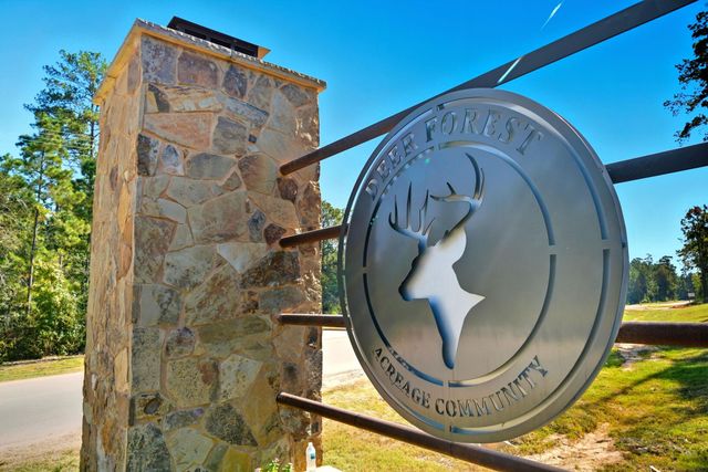 11518 Bramble Court, Willis, TX 77378