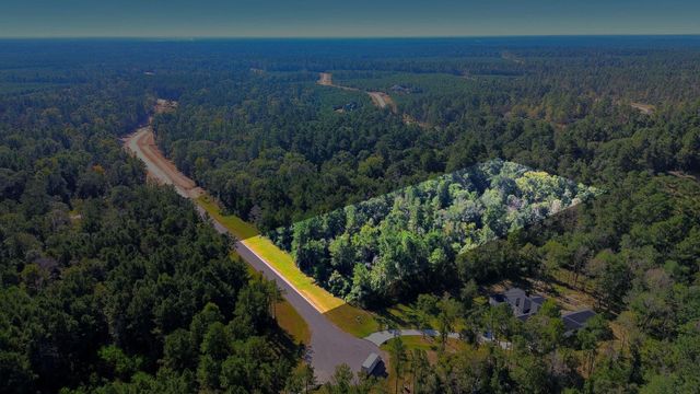 11518 Bramble Court, Willis, TX 77378