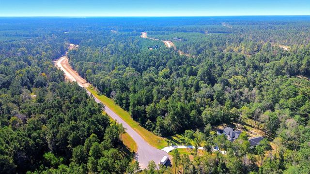 11518 Bramble Court, Willis, TX 77378