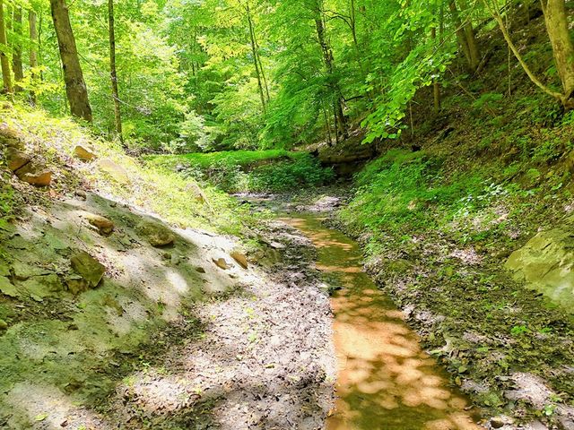 1127 Burch Branch Road, Hiawassee, GA 30546