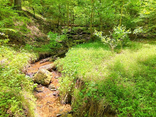1127 Burch Branch Road, Hiawassee, GA 30546