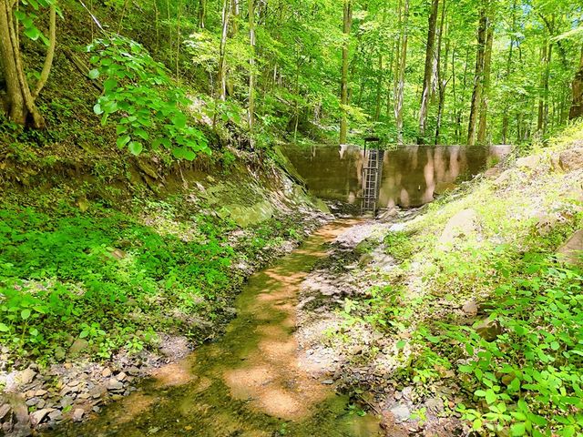 1127 Burch Branch Road, Hiawassee, GA 30546