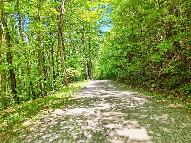1127 Burch Branch Road, Hiawassee, GA 30546