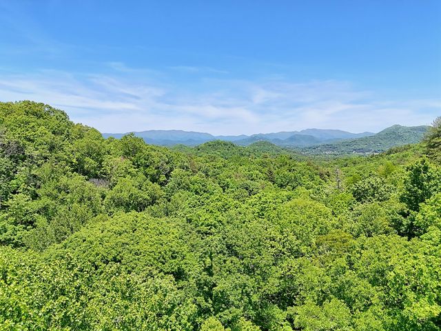1127 Burch Branch Road, Hiawassee, GA 30546