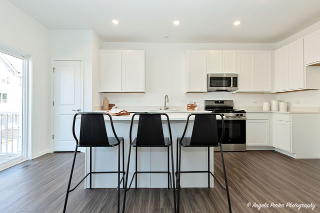 402 Neubauer Circle, Lindenhurst, IL 60046