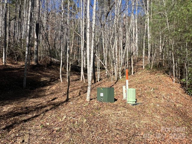 181 Falling Leaves Lane 49, Hendersonville, NC 28792