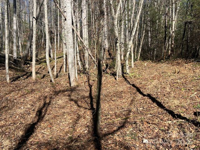 181 Falling Leaves Lane 49, Hendersonville, NC 28792