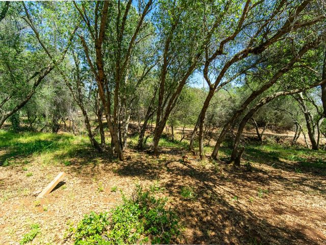 3924 Pine Cone Dr, Rescue, CA 95672