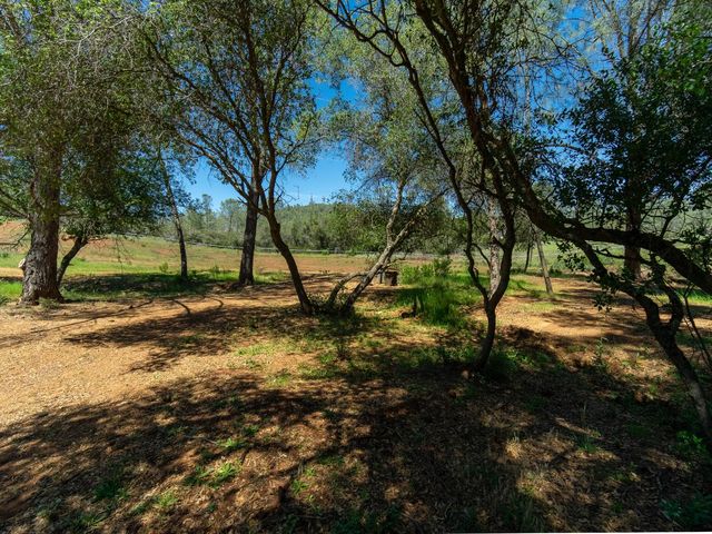 3924 Pine Cone Dr, Rescue, CA 95672