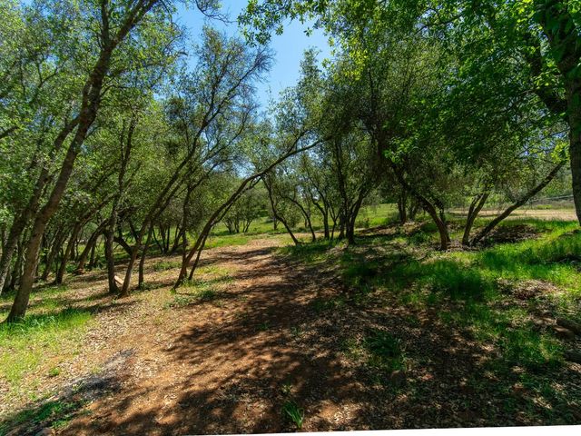 3924 Pine Cone Dr, Rescue, CA 95672