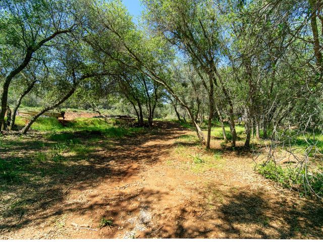 3924 Pine Cone Dr, Rescue, CA 95672