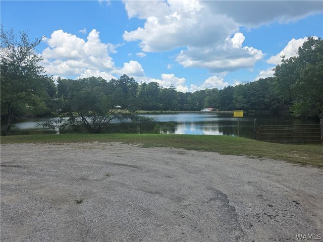 00 Delmar, Lake View, AL 35111