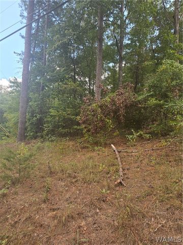 00 Delmar, Lake View, AL 35111