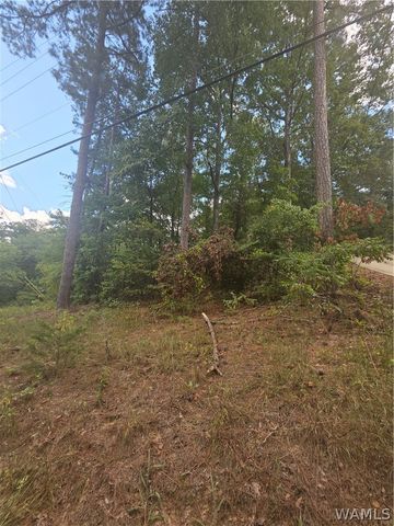 00 Delmar, Lake View, AL 35111
