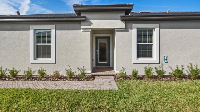 10965 TEAL LAGOON ISLE, San Antonio, FL 33576