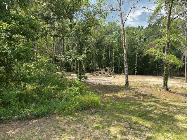 97 W Oak Tree Drive, Point Blank, TX 77364
