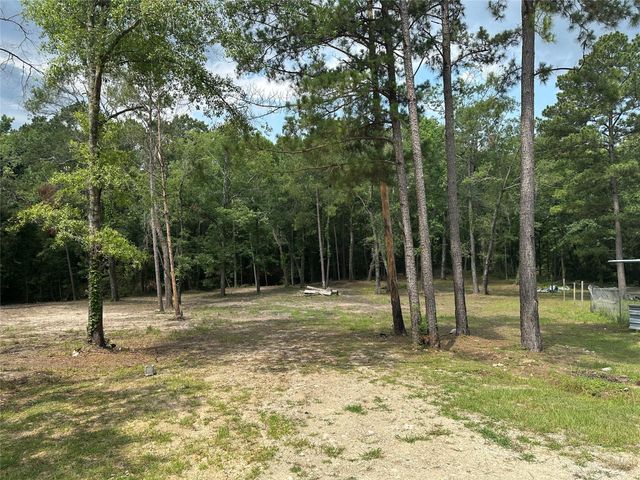 97 W Oak Tree Drive, Point Blank, TX 77364