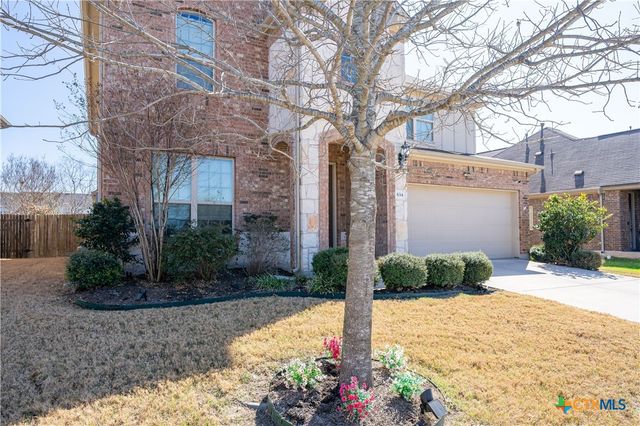 634 Blossom Valley Stream, Buda, TX 78610