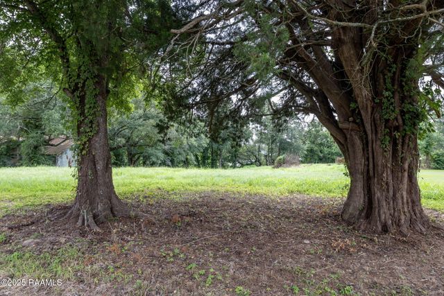 4013 Woodlawn Road, Maurice, LA 70555