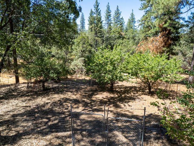 5220 Cosumnes Mine Rd, Somerset, CA 95684