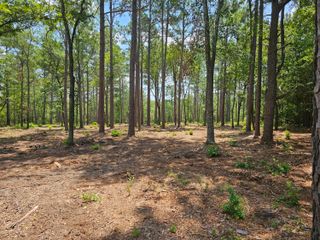 Lot 4 Snipes Road, Aiken, SC 29801