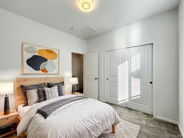 5036 Construct Point, Colorado Springs, CO 80920