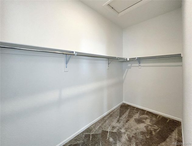 5036 Construct Point, Colorado Springs, CO 80920